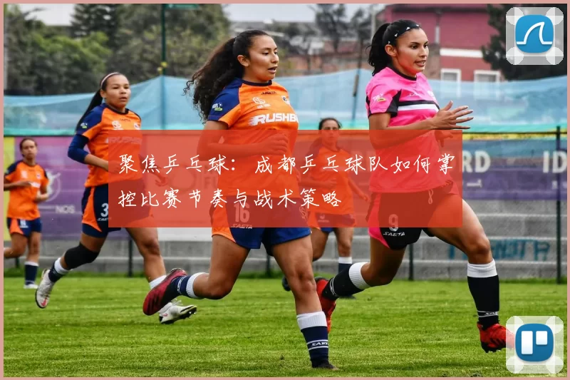 聚焦乒乓球:成都乒乓球队如何掌控比赛节奏与战术策略