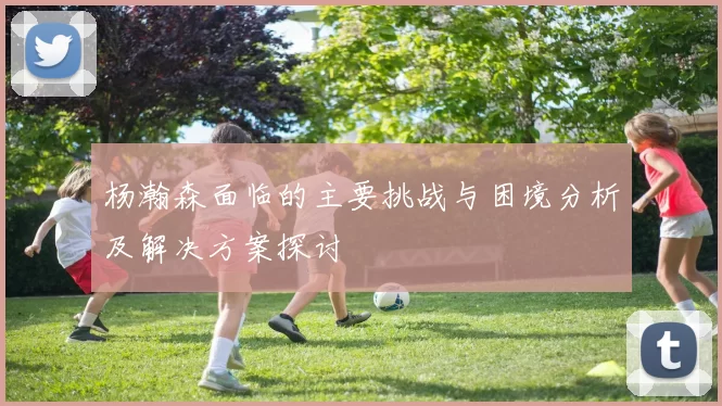 杨瀚森面临的主要挑战与困境分析及解决方案探讨