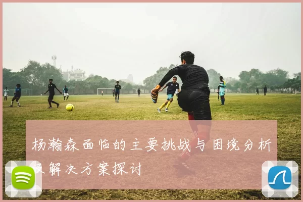 杨瀚森面临的主要挑战与困境分析及解决方案探讨