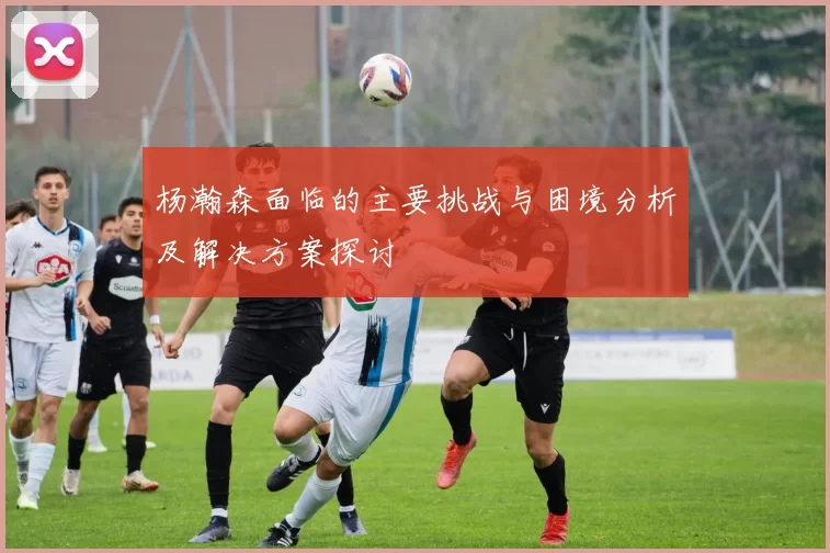 杨瀚森面临的主要挑战与困境分析及解决方案探讨