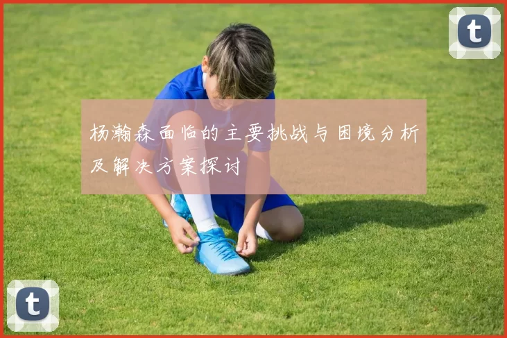 杨瀚森面临的主要挑战与困境分析及解决方案探讨