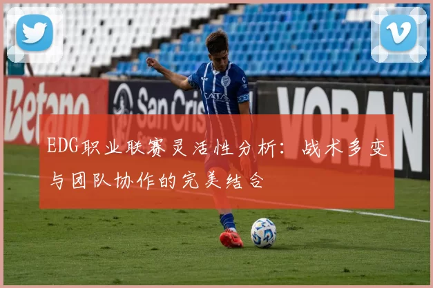 EDG职业联赛灵活性分析:战术多变与团队协作的完美结合