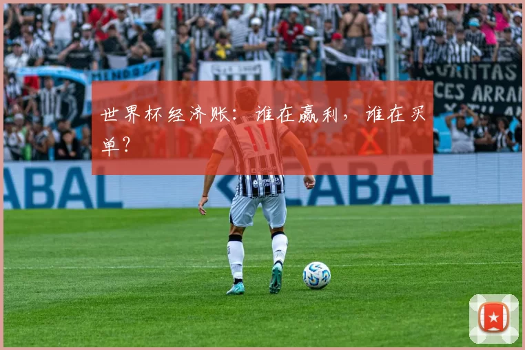 世界杯经济账:谁在赢利,谁在买单?