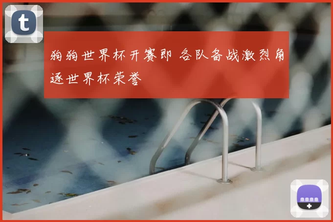 狗狗世界杯开赛即 各队备战激烈角逐世界杯荣誉