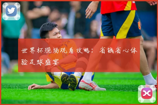 世界杯现场观看攻略:省钱省心体验足球盛宴