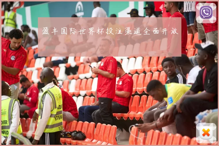 盈丰国际世界杯投注渠道全面开放