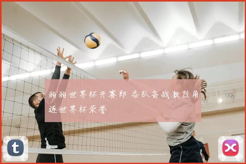 狗狗世界杯开赛即 各队备战激烈角逐世界杯荣誉
