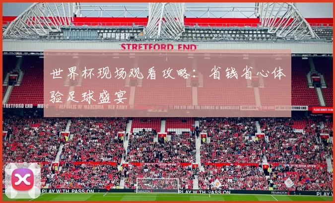 世界杯现场观看攻略:省钱省心体验足球盛宴