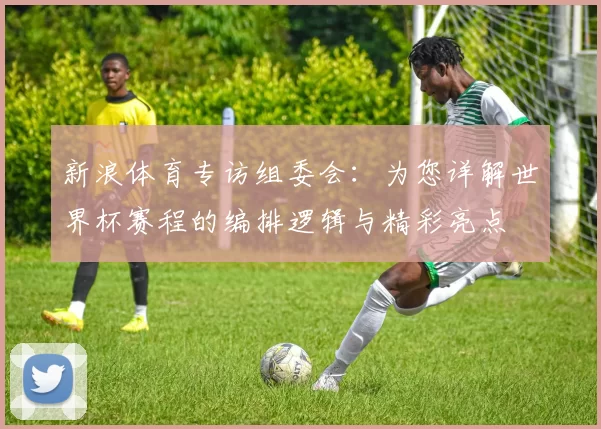 新浪体育专访组委会:为您详解世界杯赛程的编排逻辑与精彩亮点