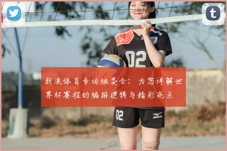 新浪体育专访组委会:为您详解世界杯赛程的编排逻辑与精彩亮点