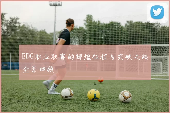 EDG职业联赛的辉煌征程与突破之路全景回顾