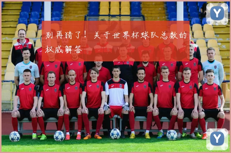 别再猜了!关于世界杯球队总数的权威解答