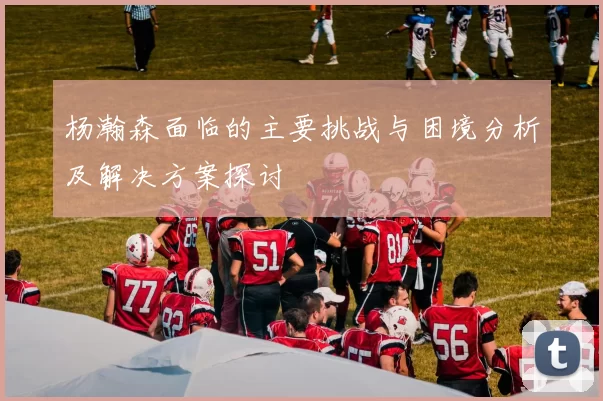 杨瀚森面临的主要挑战与困境分析及解决方案探讨