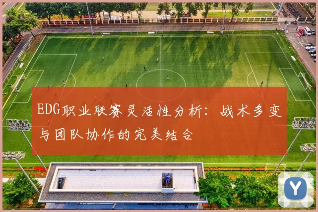 EDG职业联赛灵活性分析：战术多变与团队协作的完美结合
