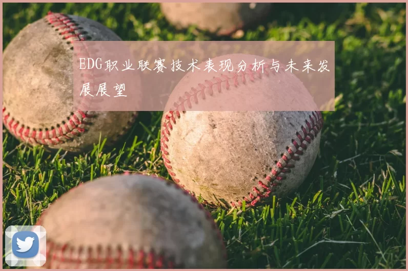 EDG职业联赛技术表现分析与未来发展展望