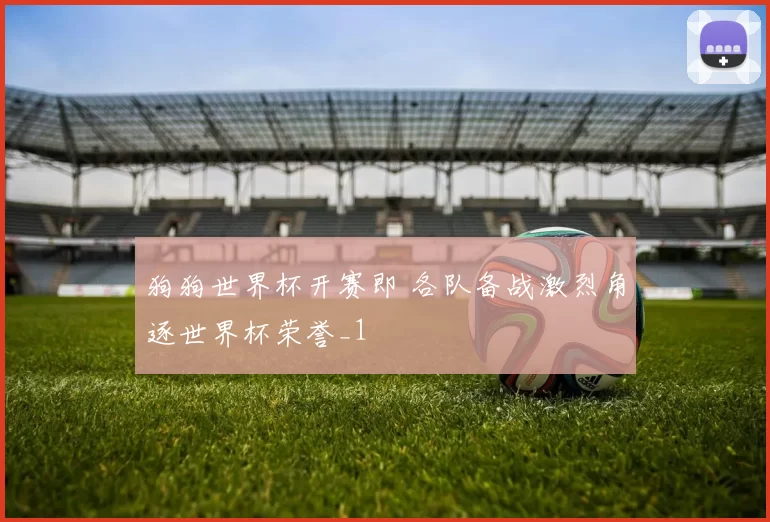 狗狗世界杯开赛即 各队备战激烈角逐世界杯荣誉_1
