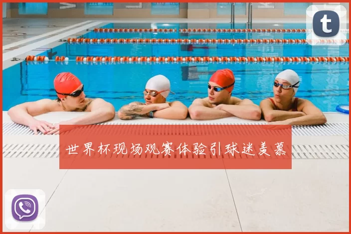 世界杯现场观赛体验引球迷羡慕