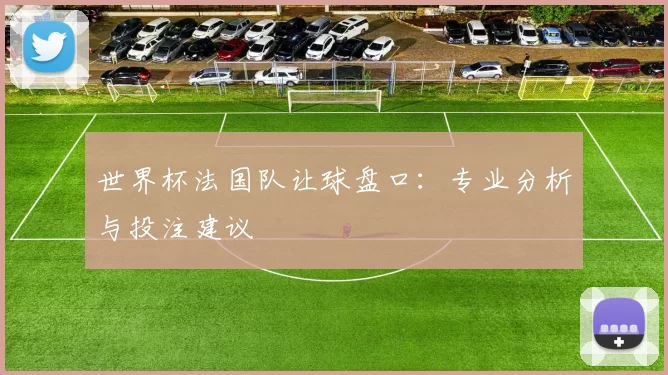 世界杯法国队让球盘口:专业分析与投注建议